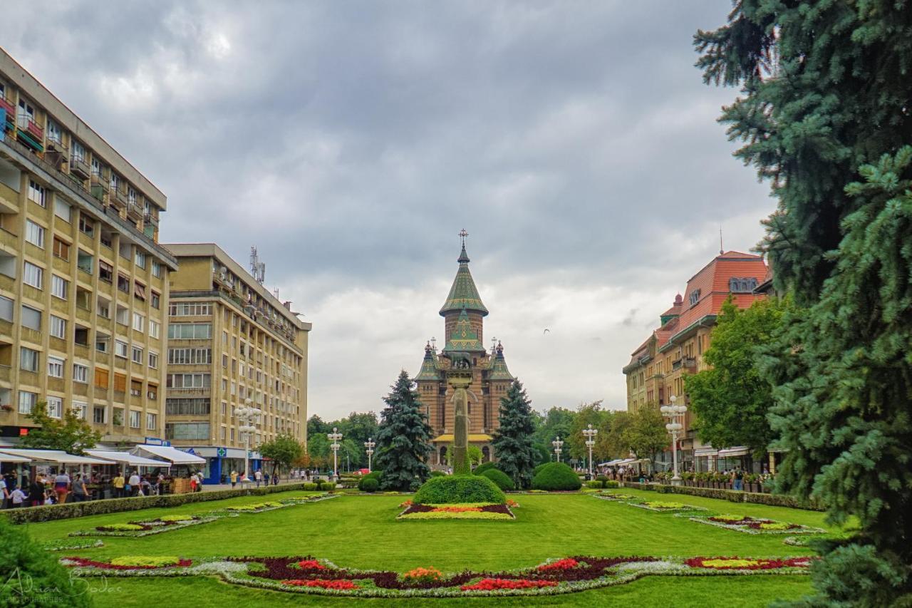 Take Pro Timisoara Apartment Eksteriør bilde