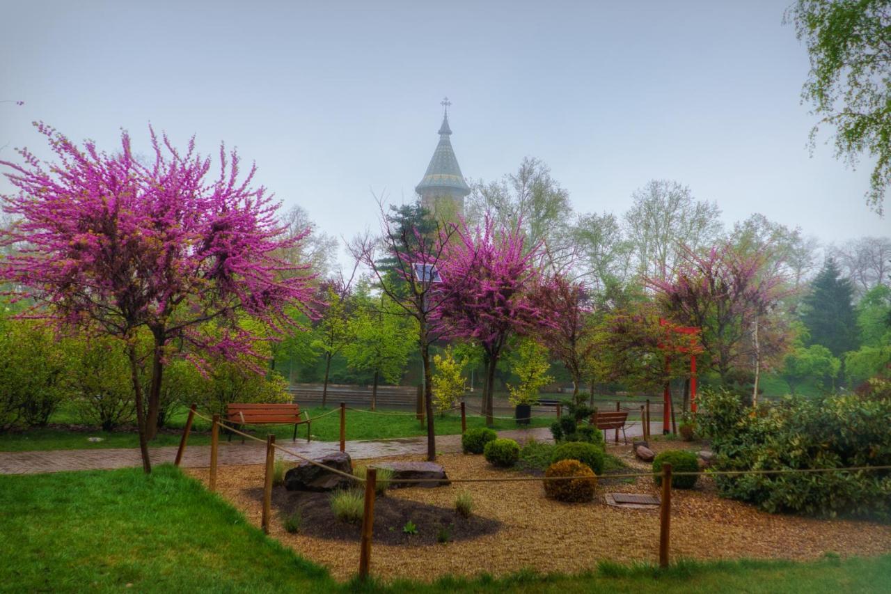 Take Pro Timisoara Apartment Eksteriør bilde